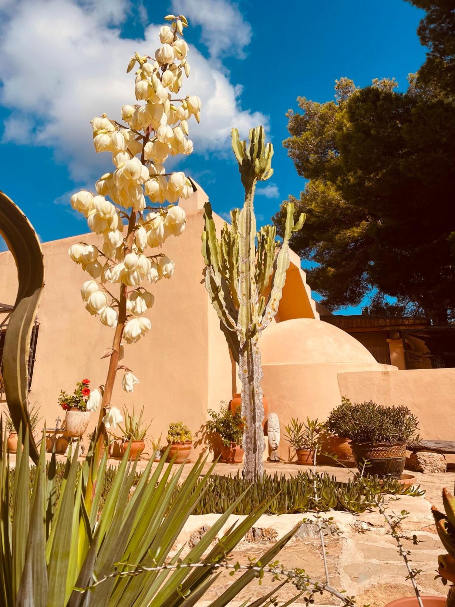 Toni Villa Sant Jordi de ses Salines