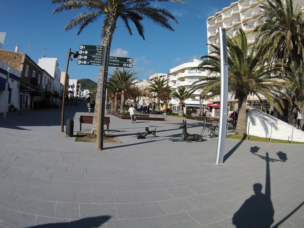 Mayol *