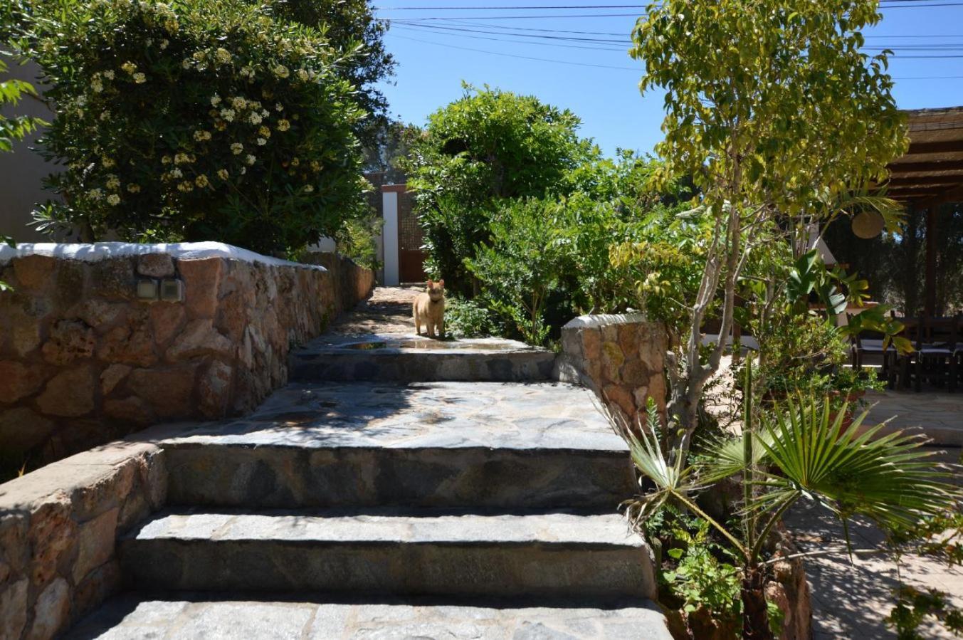 Grane * San José