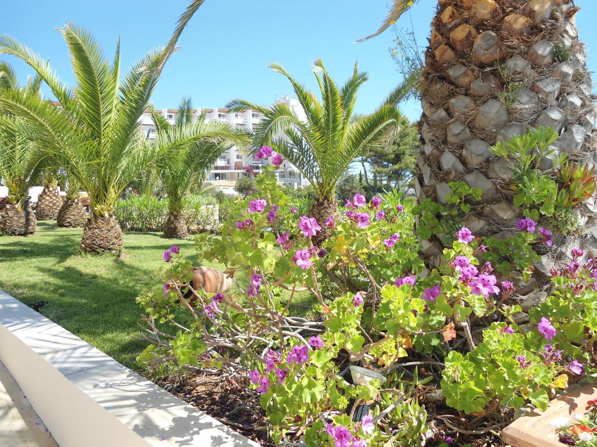 Grand Palladium Santa Eulária des Riu