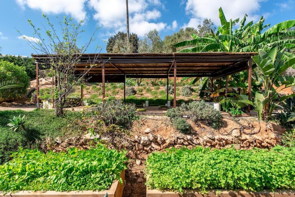 Casa Cielo *