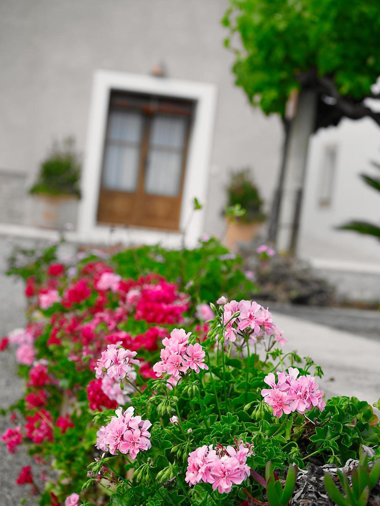 Farm stay Planells Sant Miquel De Balansat