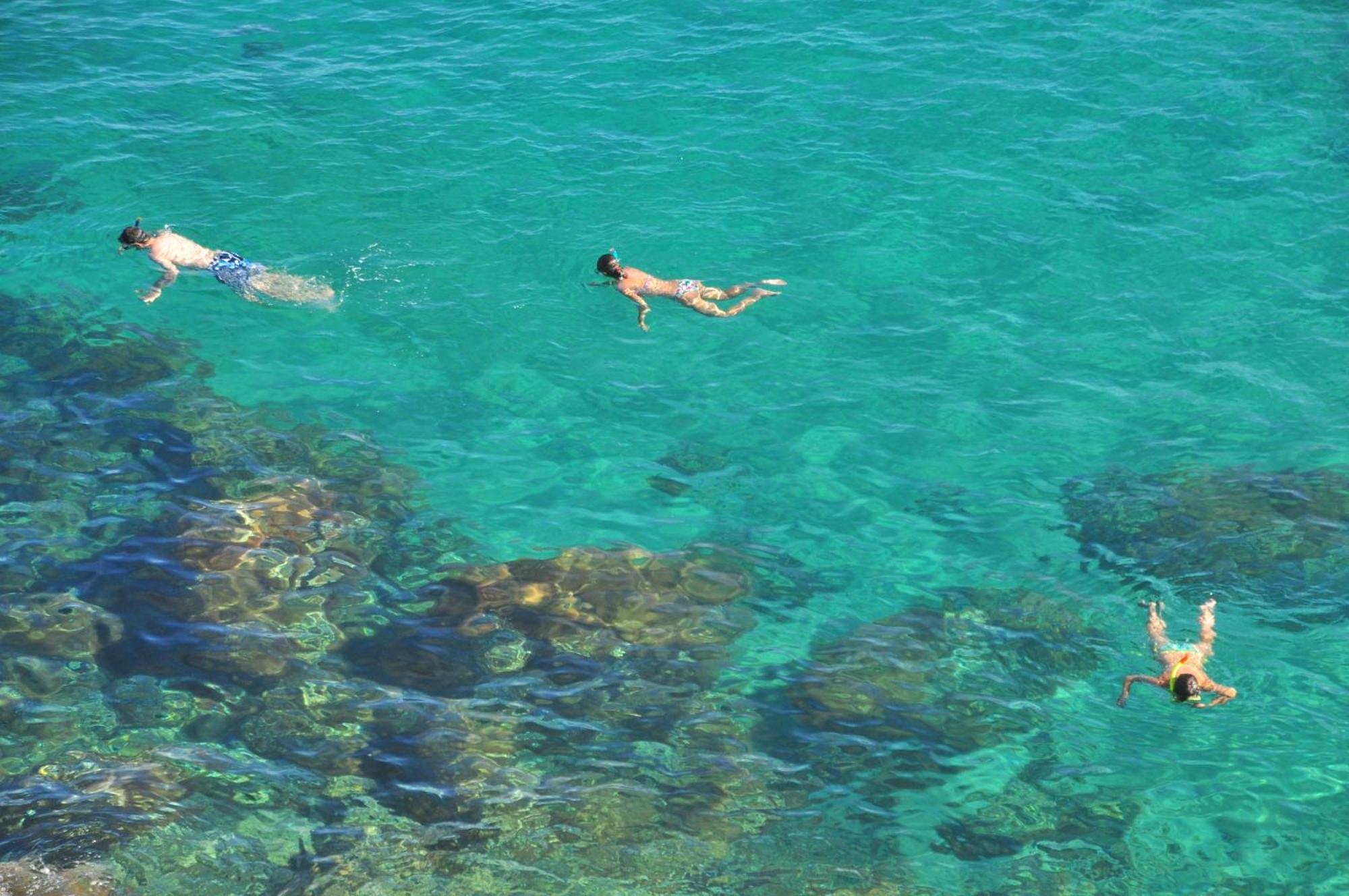 Campsite Cala Nova