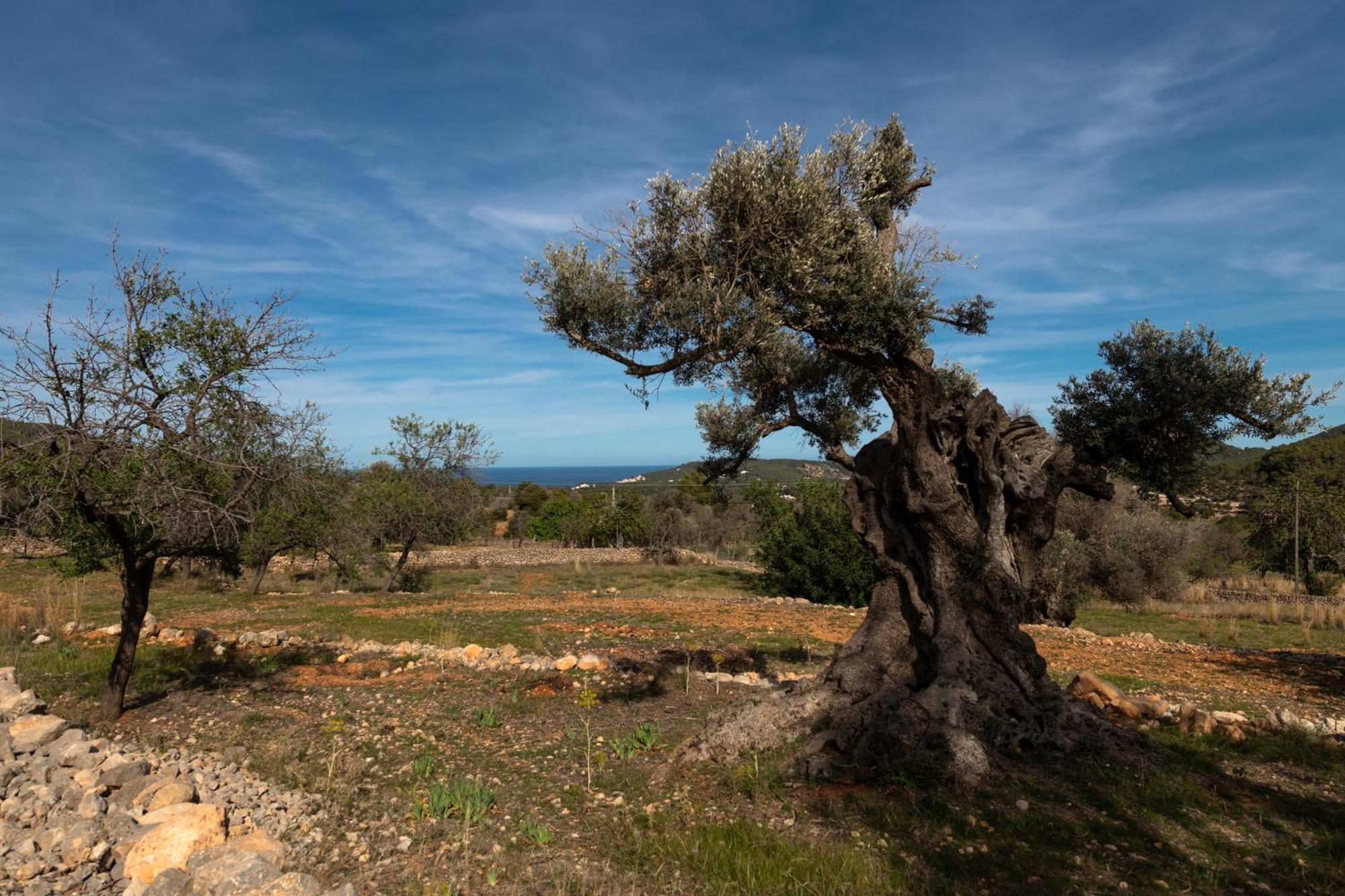 Rural Prats Sant Carles de Peralta