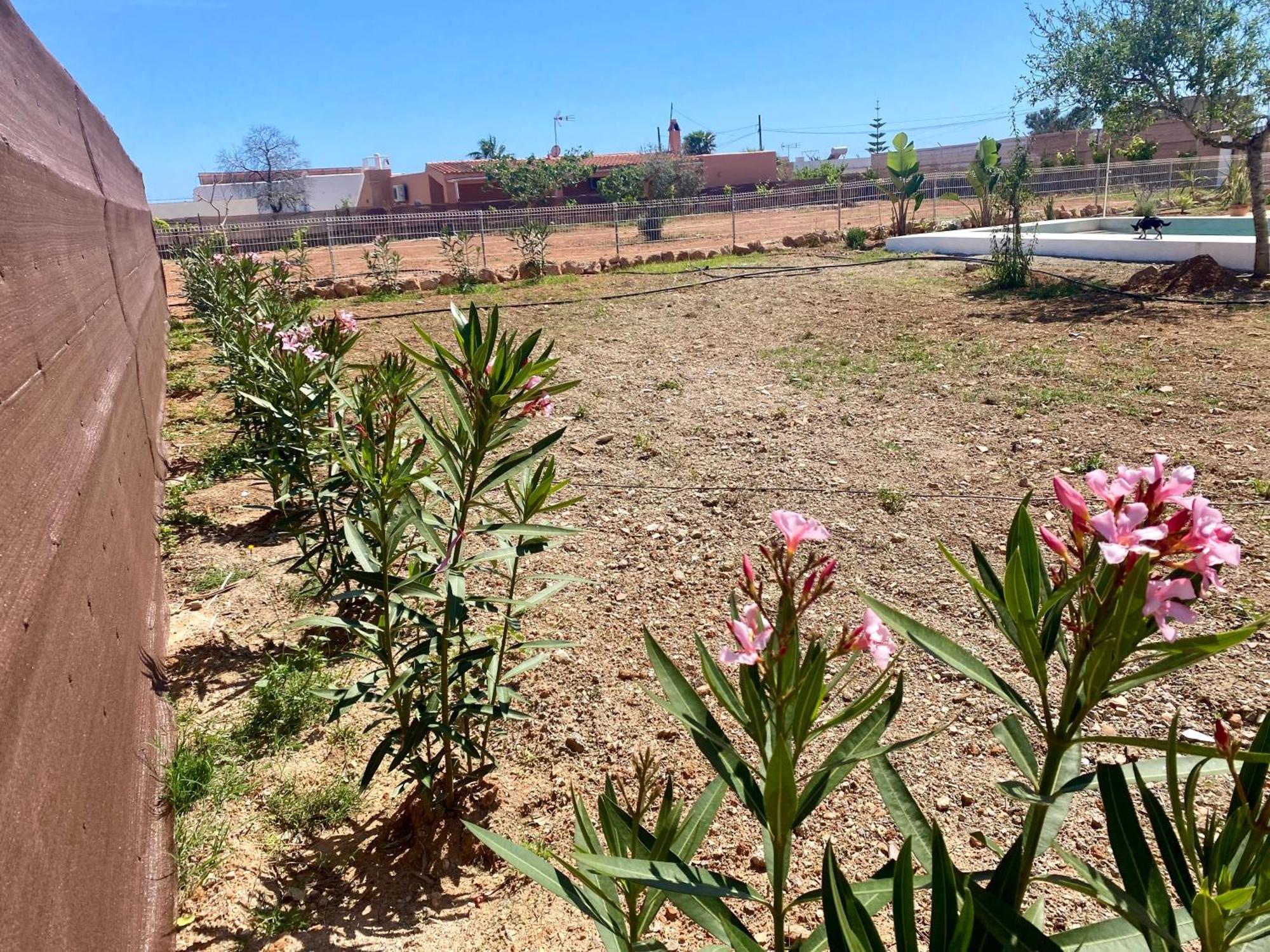 Air - Relax, Close To Bossa Beach, Spacious And Private Pool * Sant Jordi de ses Salines