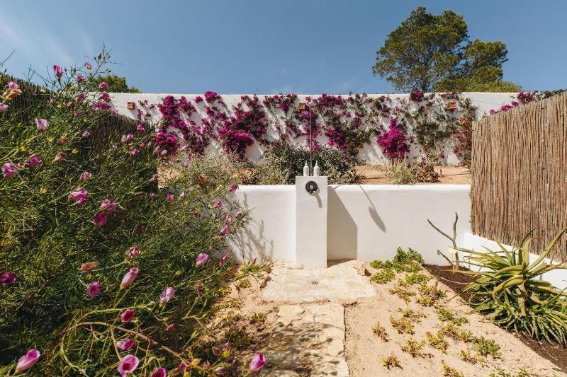 Petunia Ibiza, A Beaumier (adults Only) Hotel Cala Vadella (Ibiza)