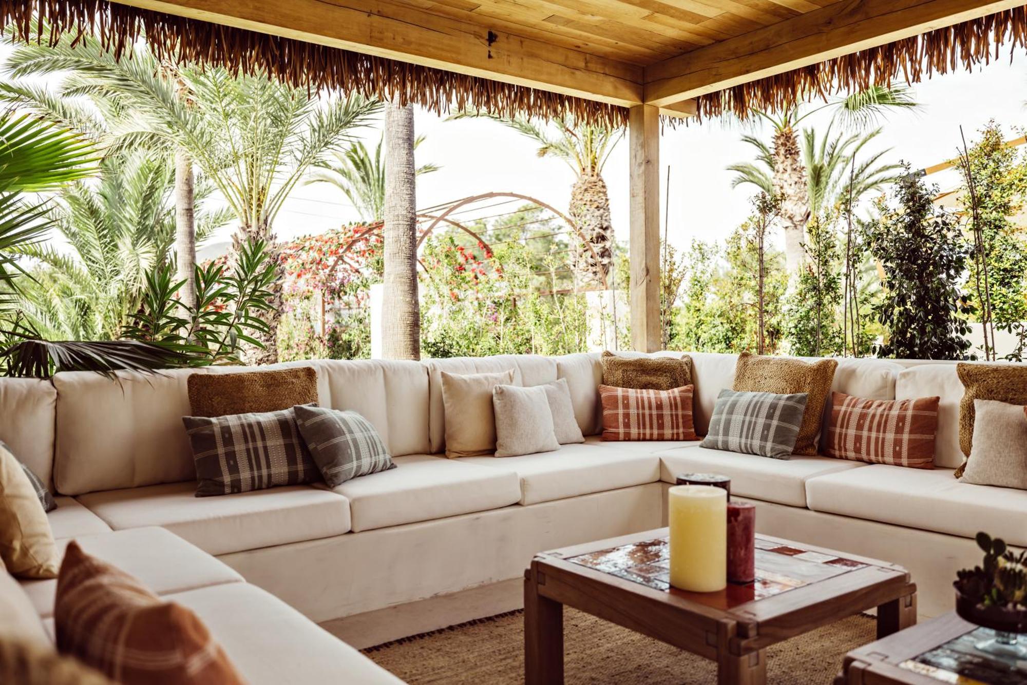 Petunia Ibiza, A Beaumier (adults Only)