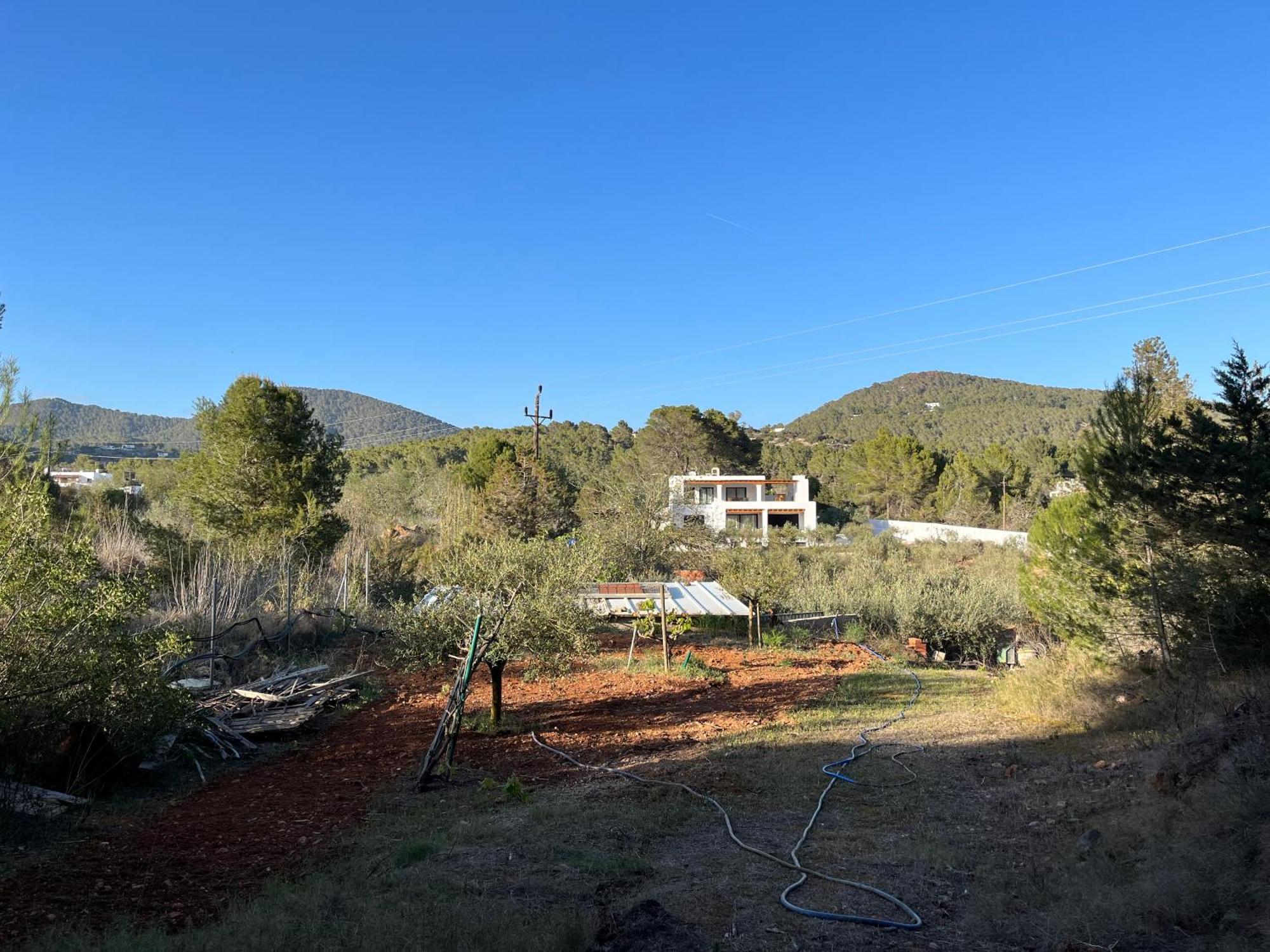 Ses Oliveres *
