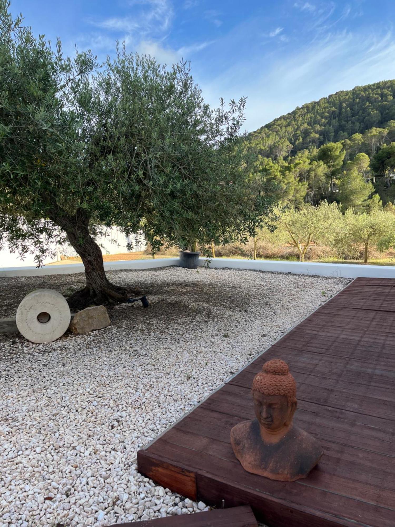 Ses Oliveres * Sant Josep de sa Talaia