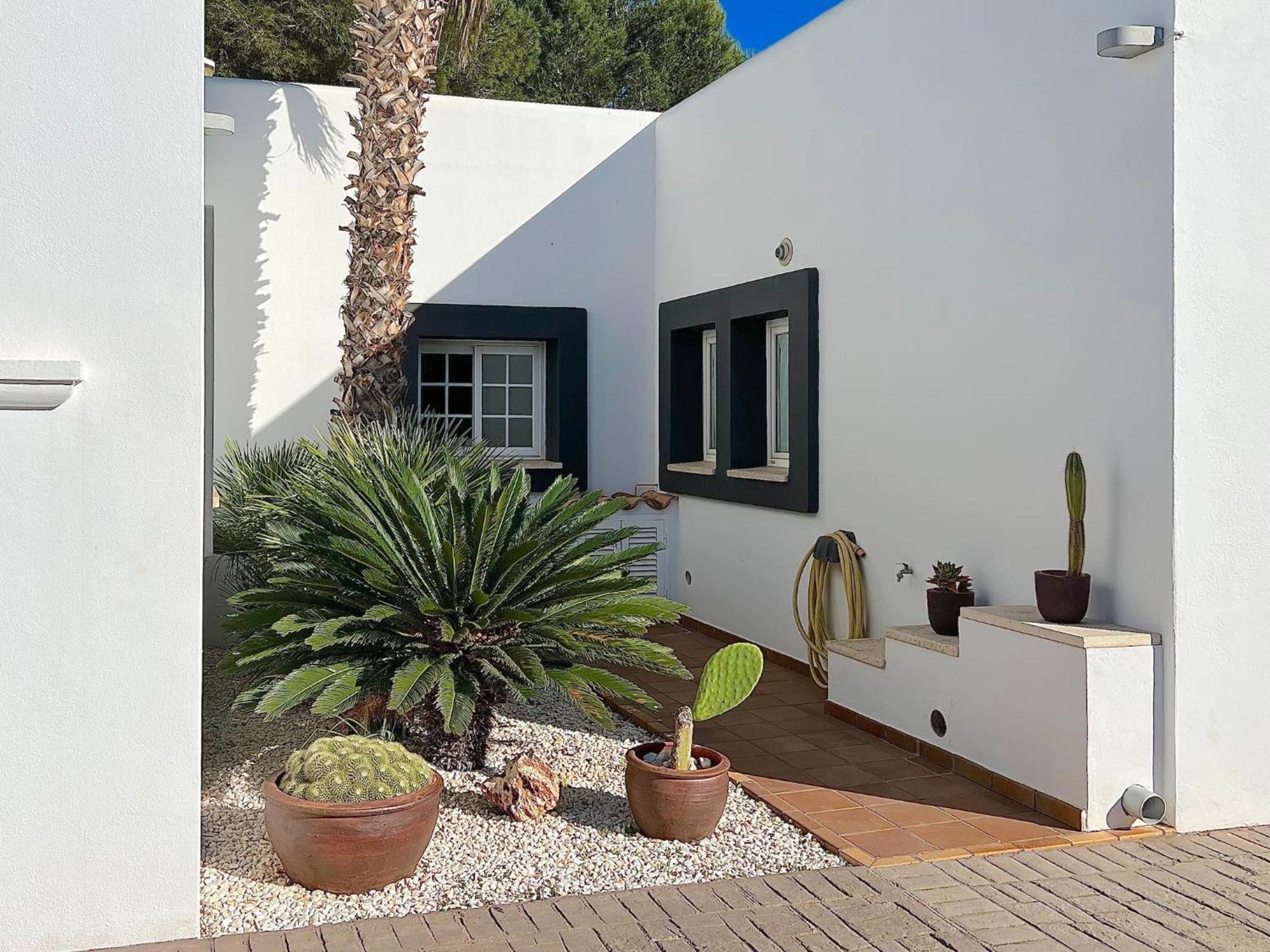 Oasis Ibiza *