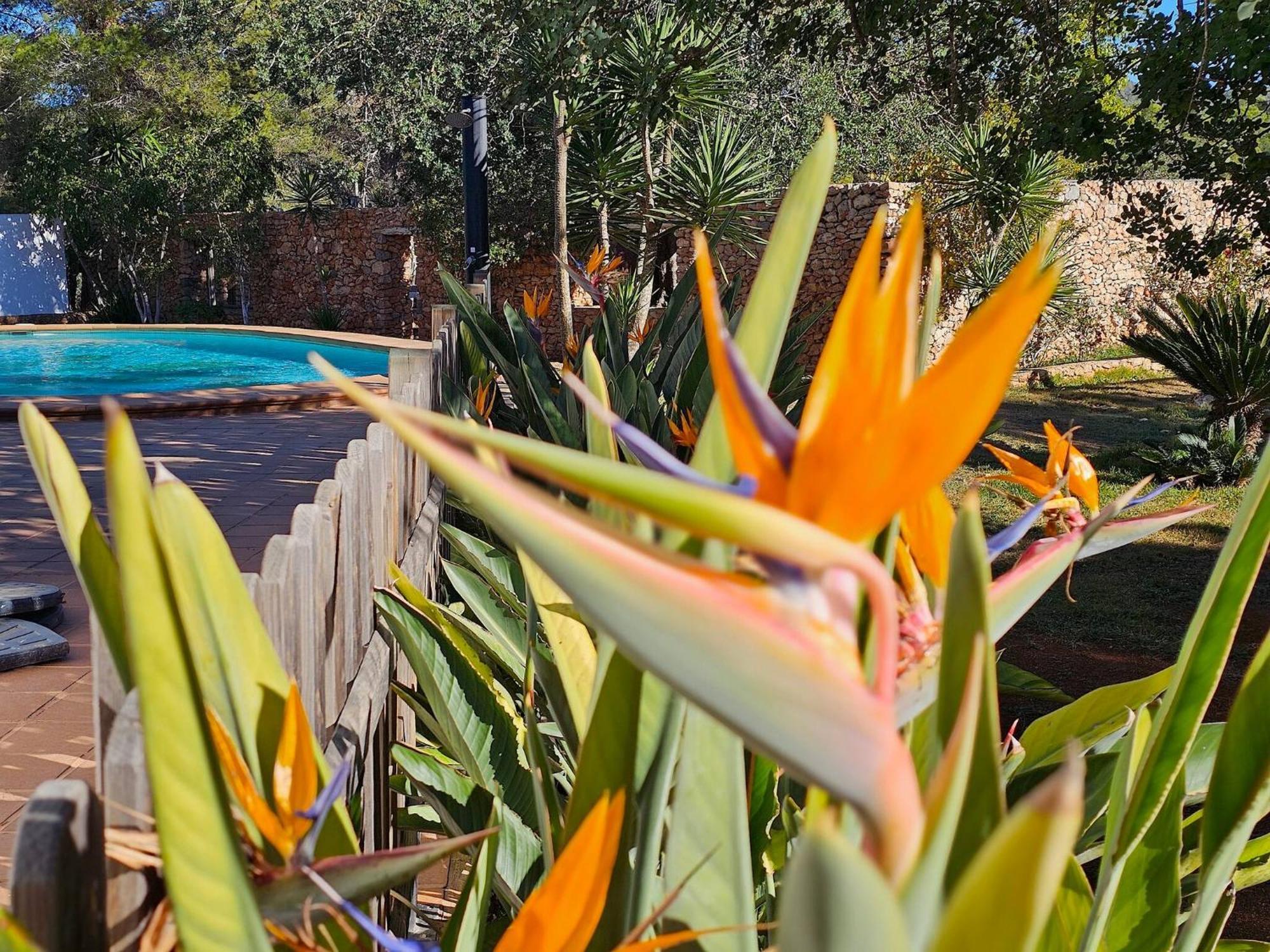 Holiday home Cala Jondal 