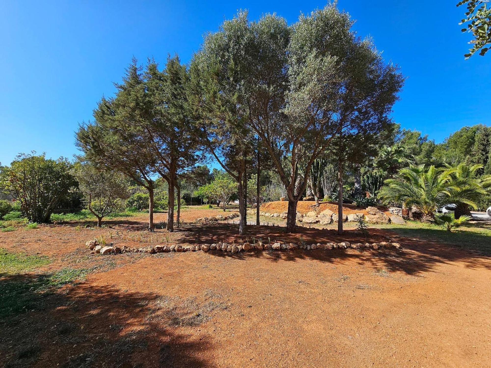 Cala Jondal 