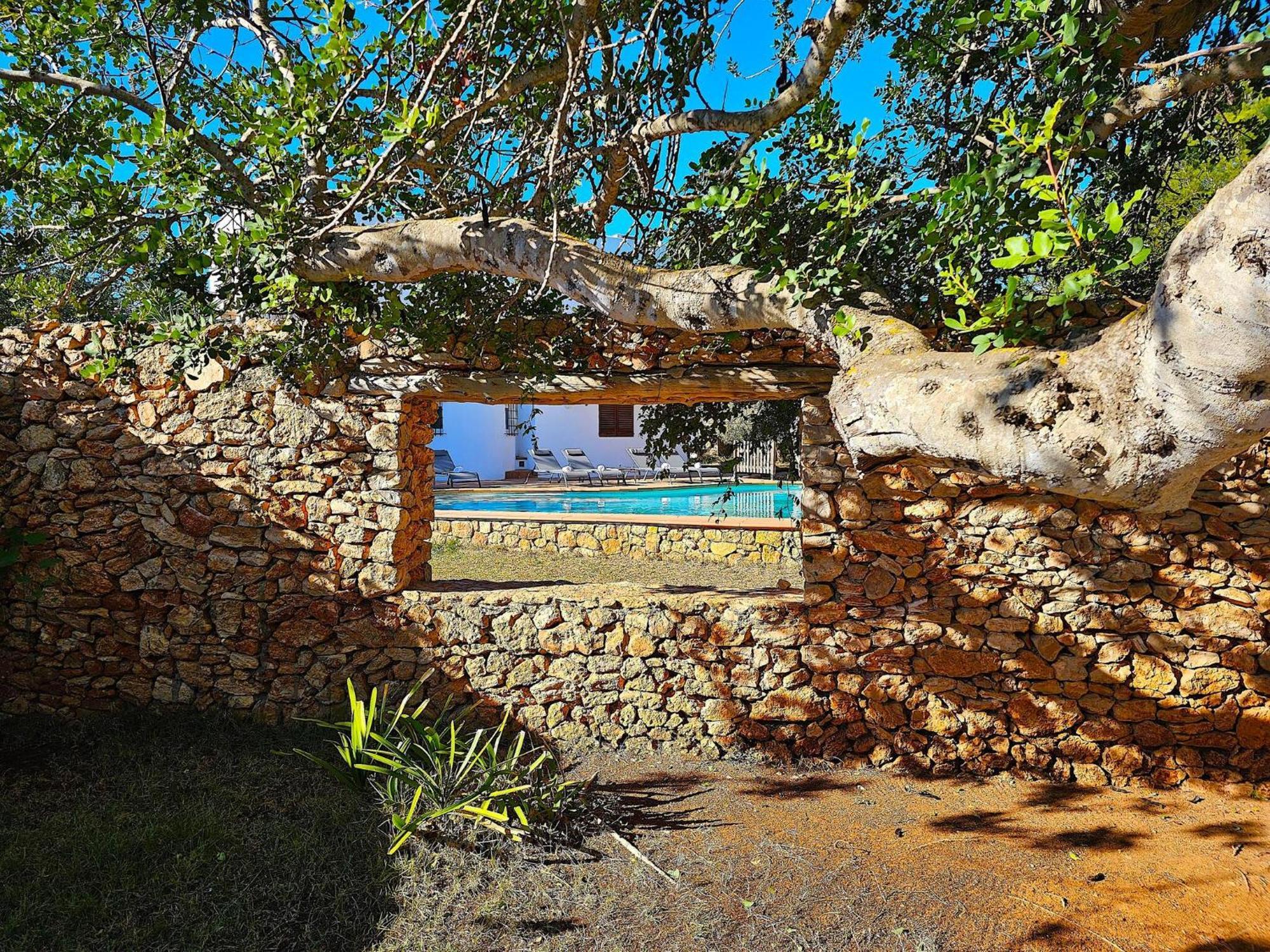 Cala Jondal 