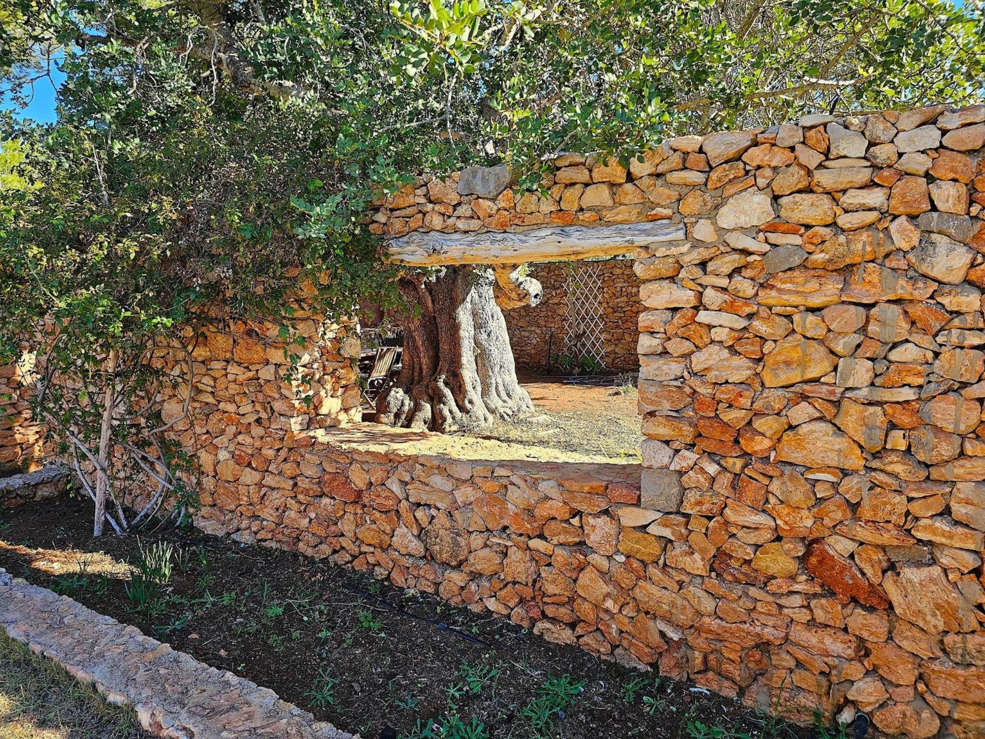 Cala Jondal 