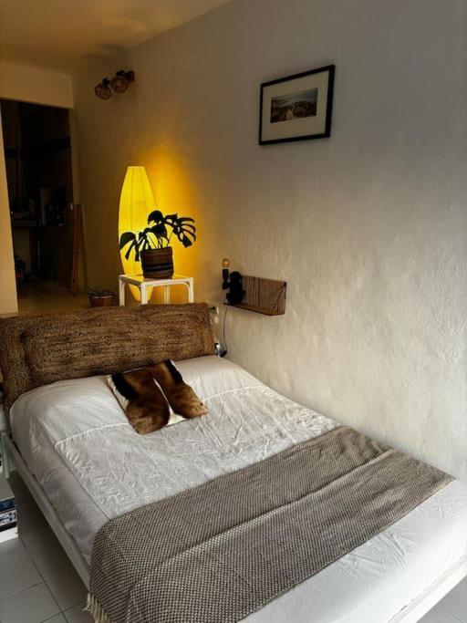 Casita In Jesus
