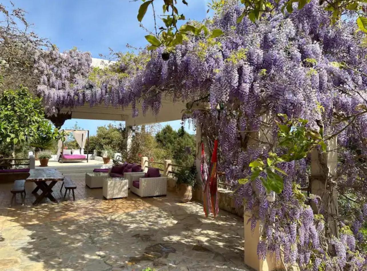 Villa Torres Con Piscina Y Jardin, Santa Gertrudis