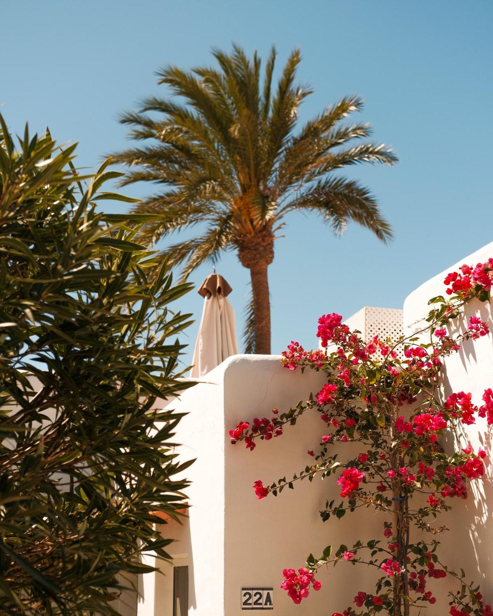 Hotel Unio Ibiza - Adults Only Cala Vadella (Ibiza)