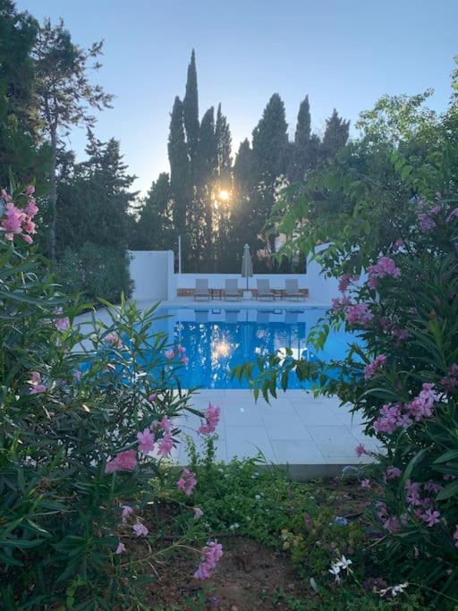 Villa En Zona Playa D'en Bossa Con Gran Piscina