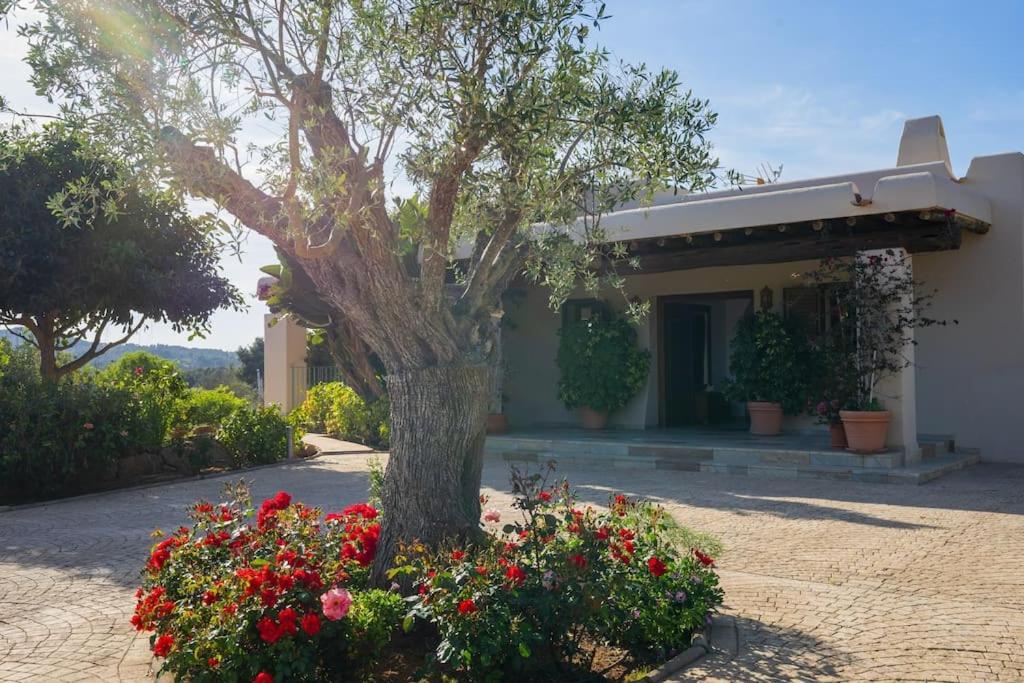 Villa Kety -luna Con Preciosa Piscina Y Vistas ! *