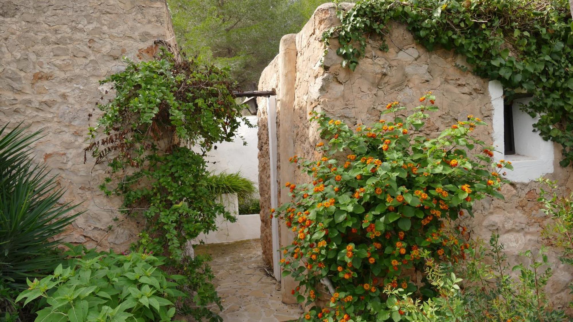 Encantadora Casa Ibicenca *