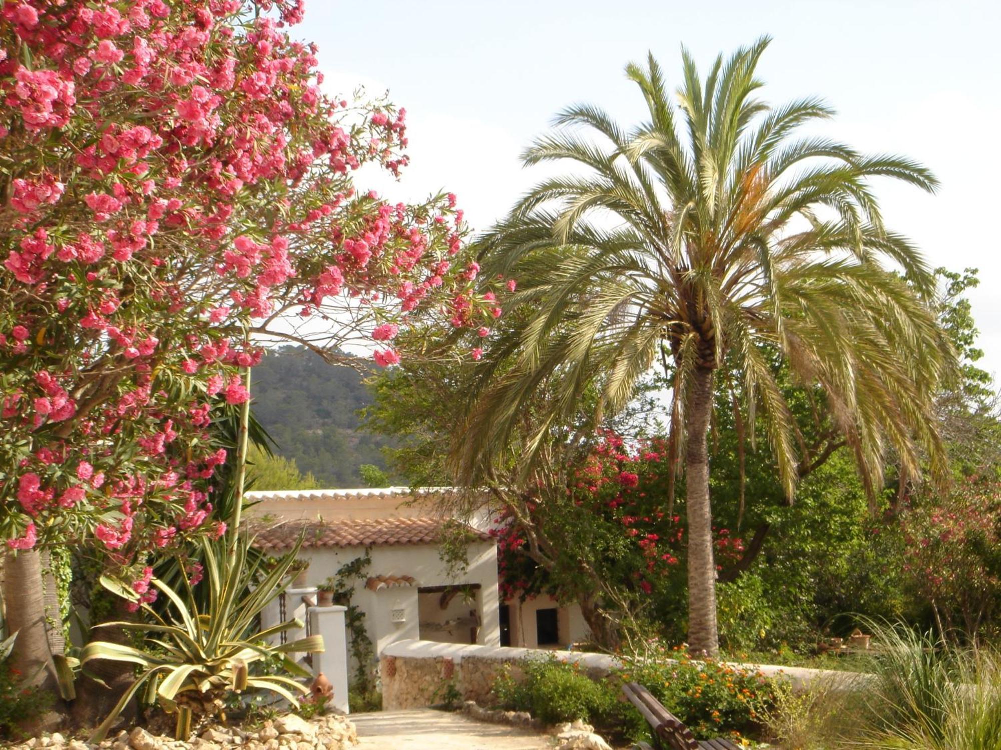 Encantadora Casa Ibicenca Villa