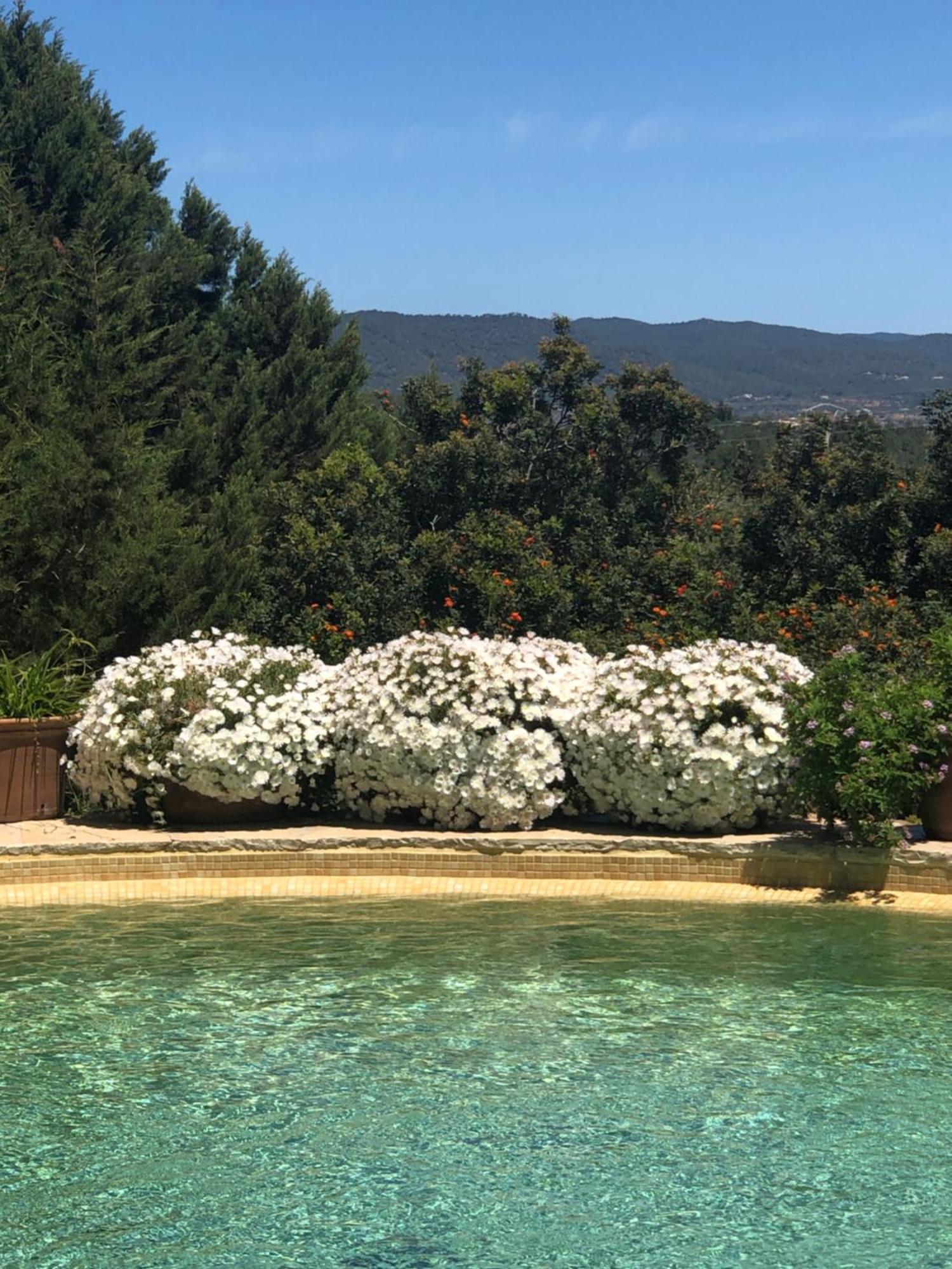 Encantadora Casa Ibicenca Villa Sant Josep de sa Talaia