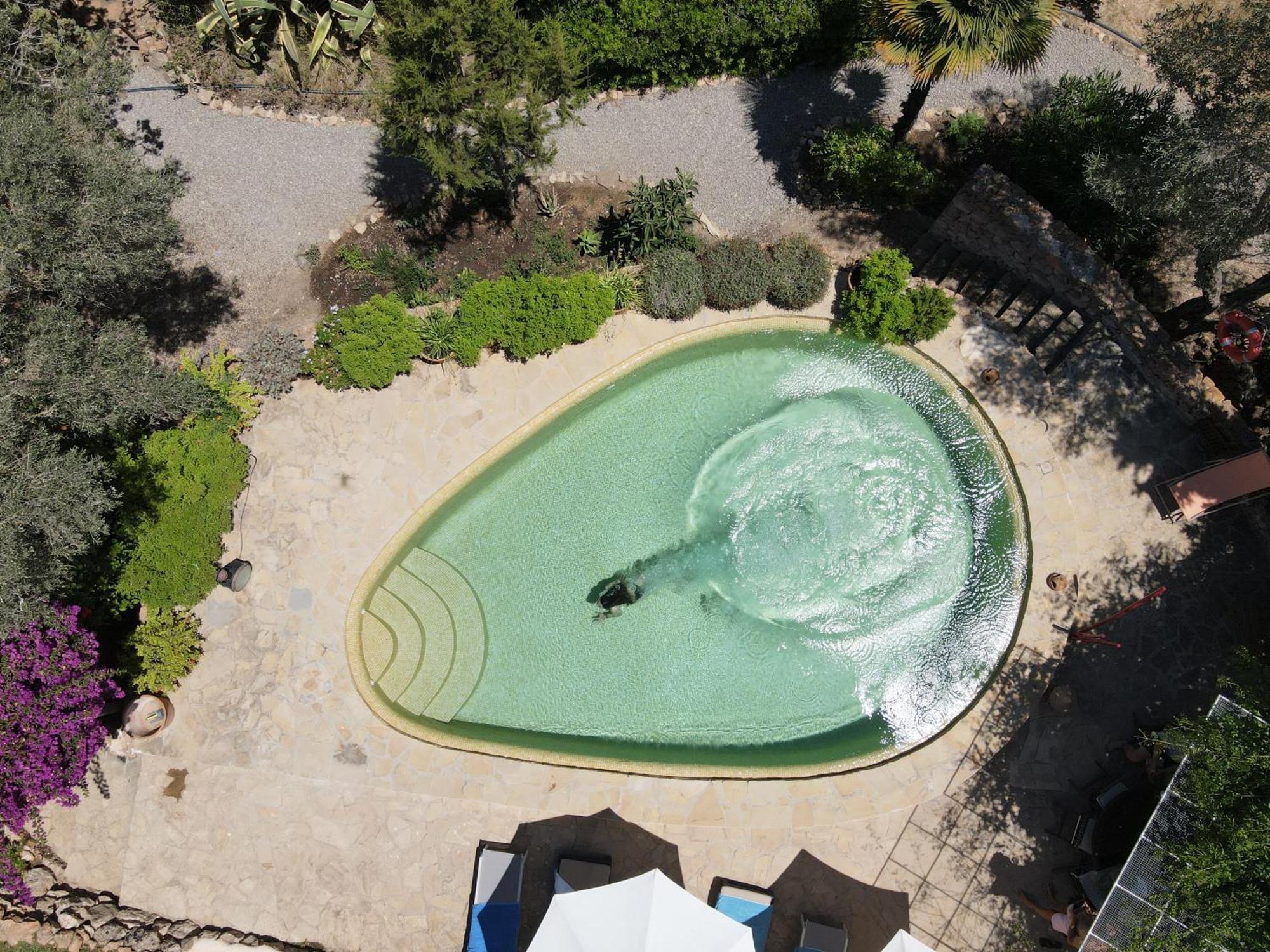 Villa Encantadora Casa Ibicenca *