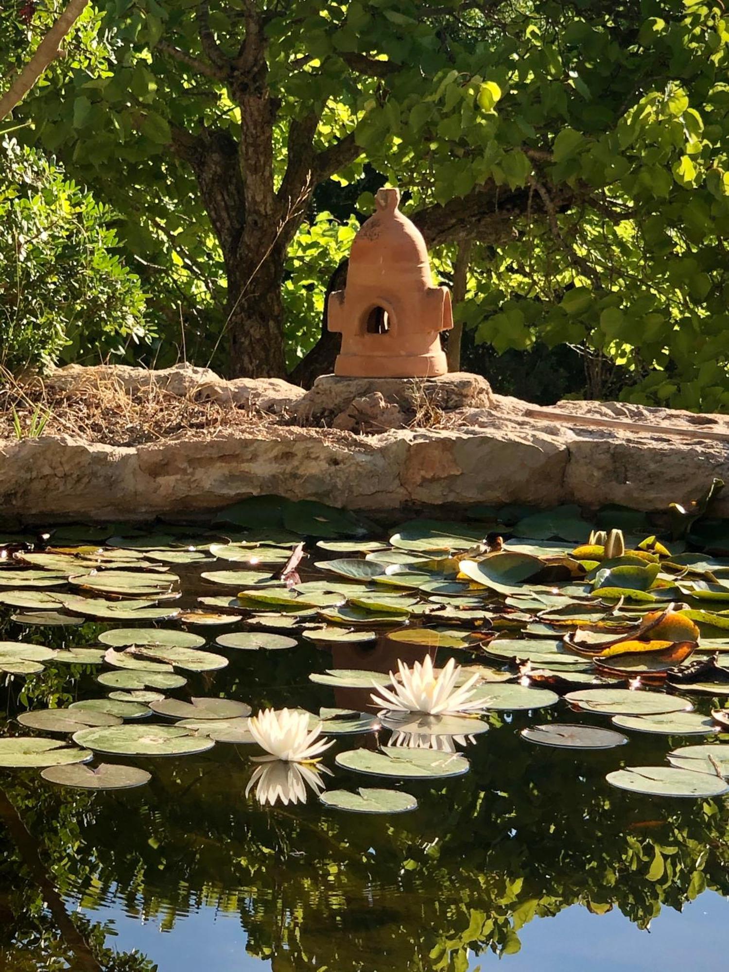 Encantadora Casa Ibicenca * Sant Josep de sa Talaia