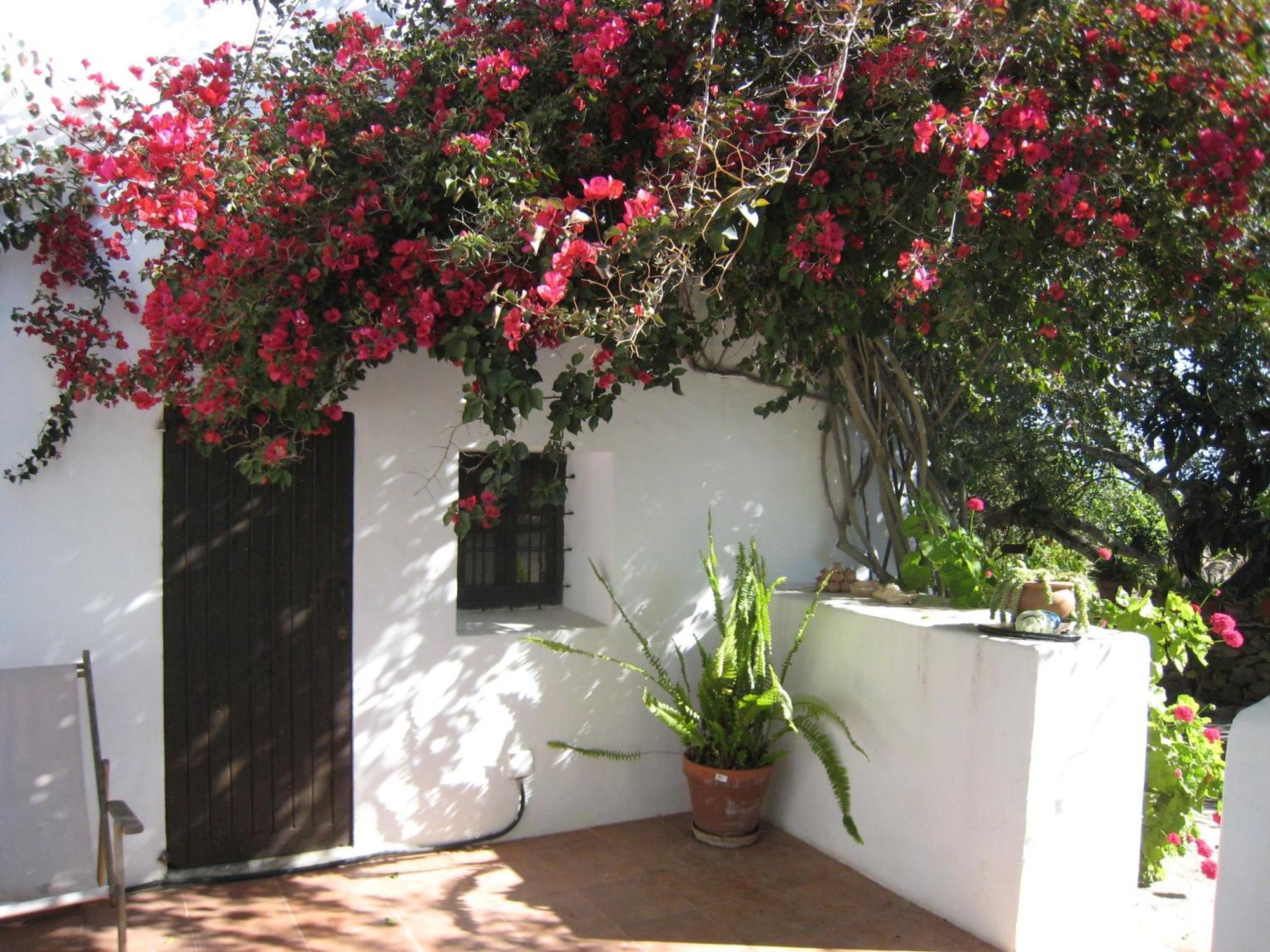 Villa Encantadora Casa Ibicenca *