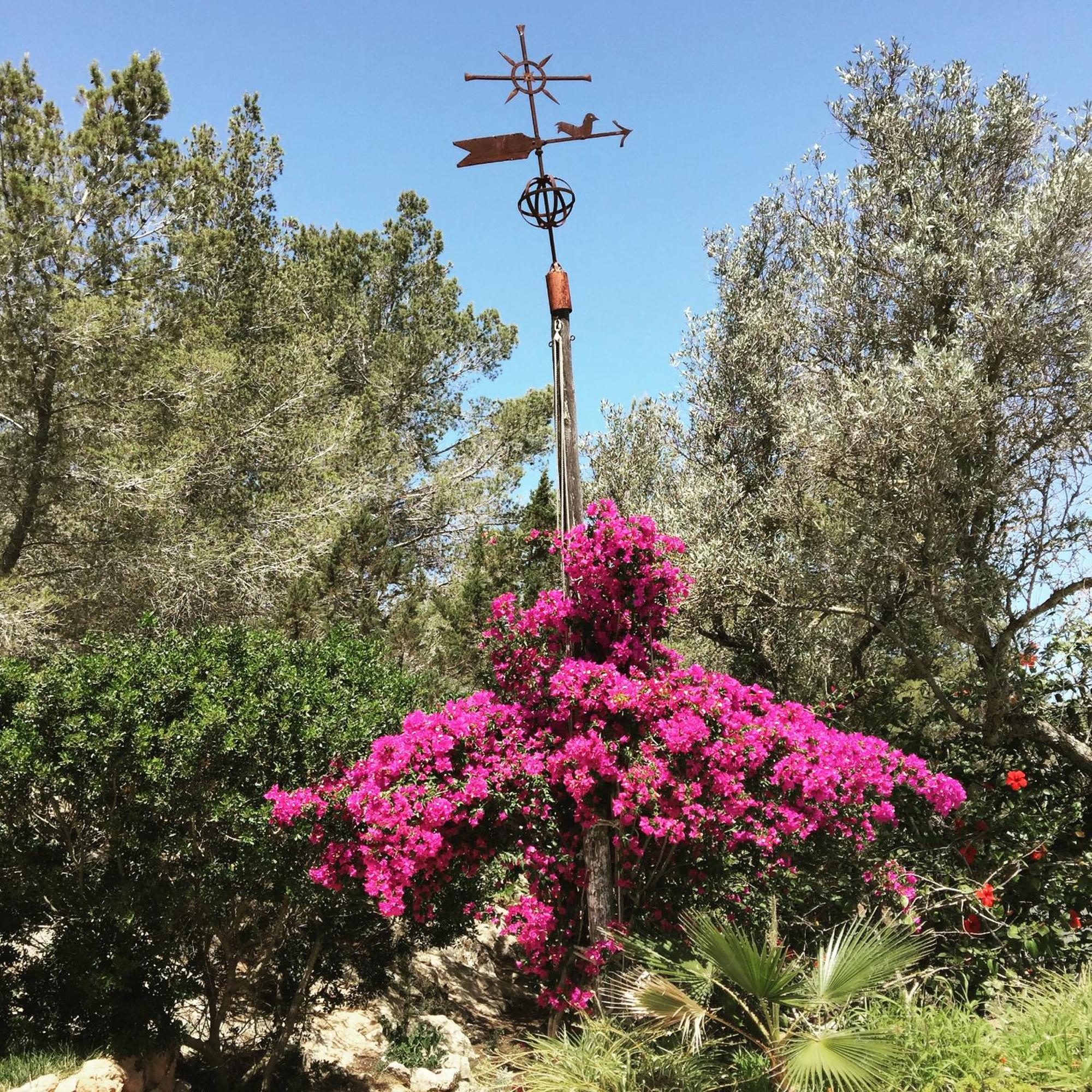 Encantadora Casa Ibicenca Villa