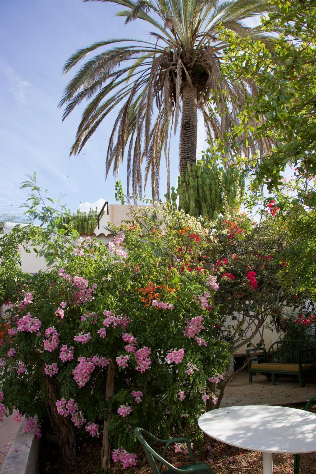Hostel La Pandilla Ibiza *