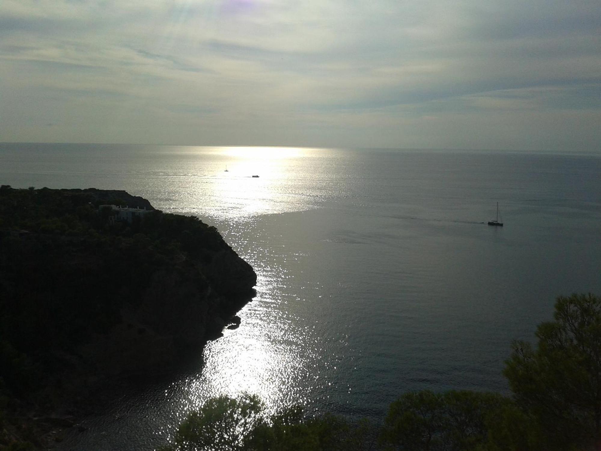 Catamaran Y Velero I Centro De Botel Ibiza Town