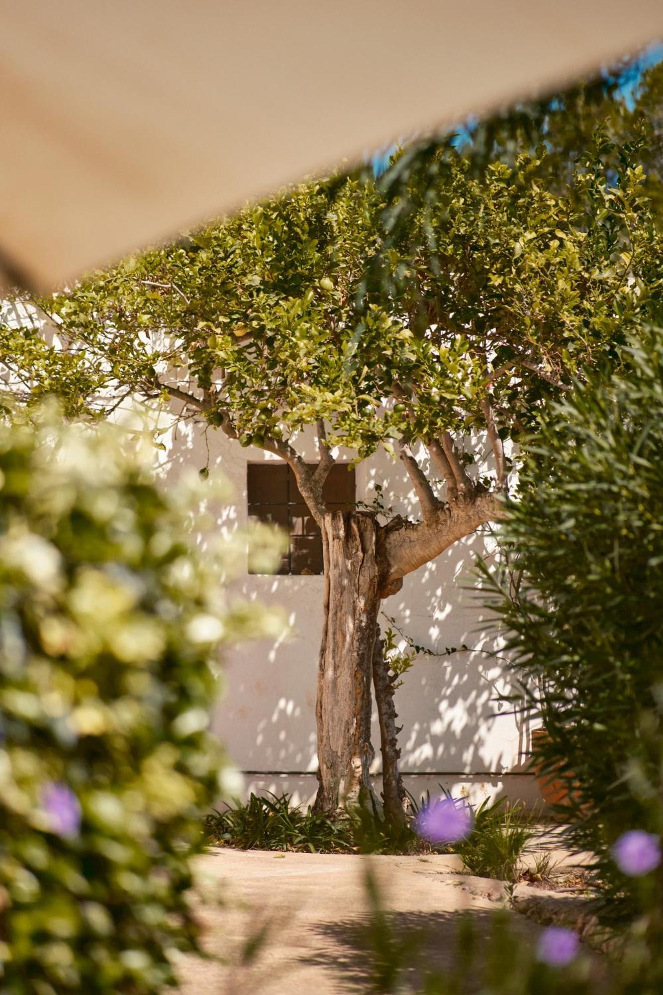 The Guardian House *