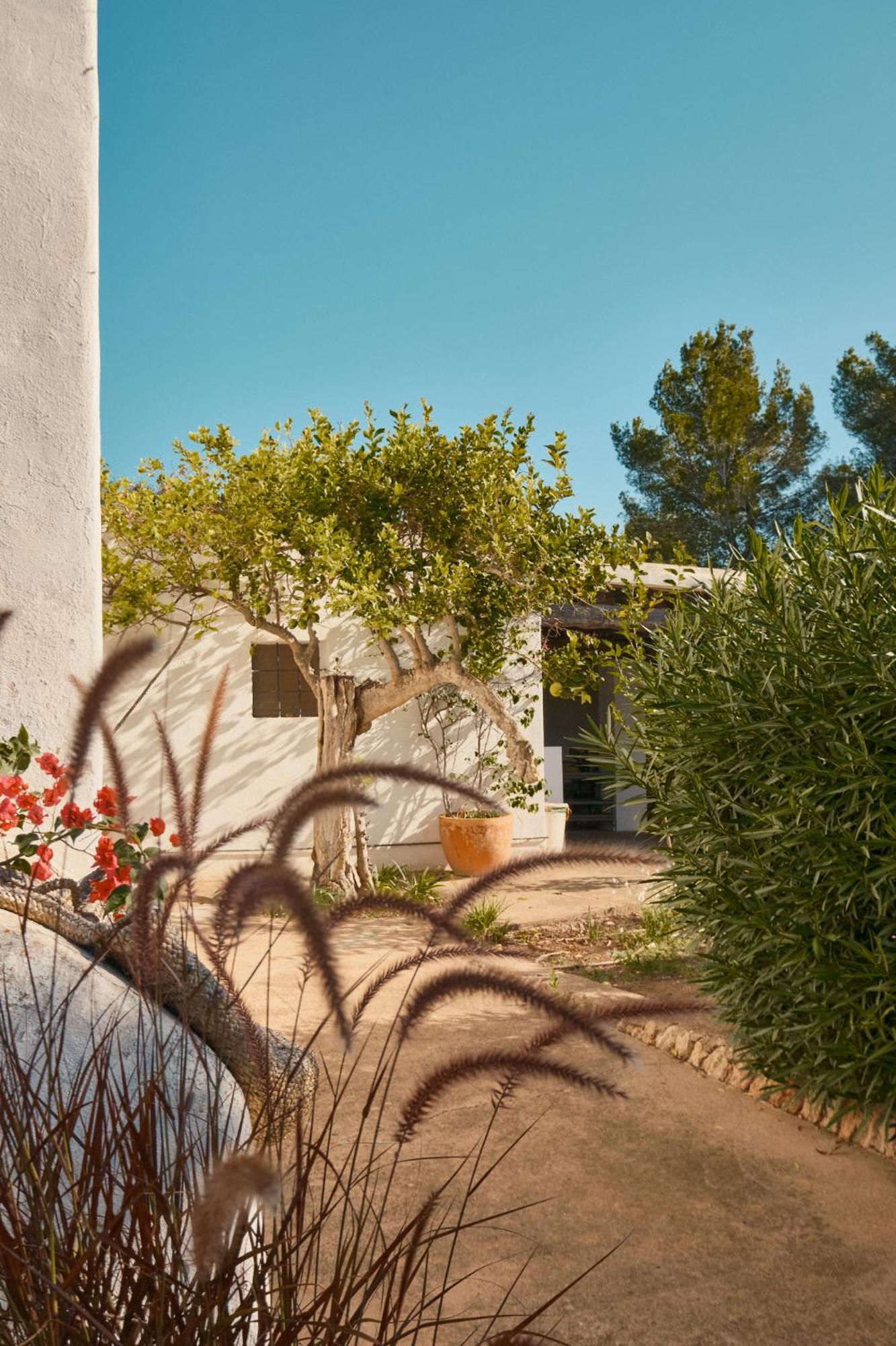 Gasthuis The Guardian House Santa Gertrudis (Ibiza)
