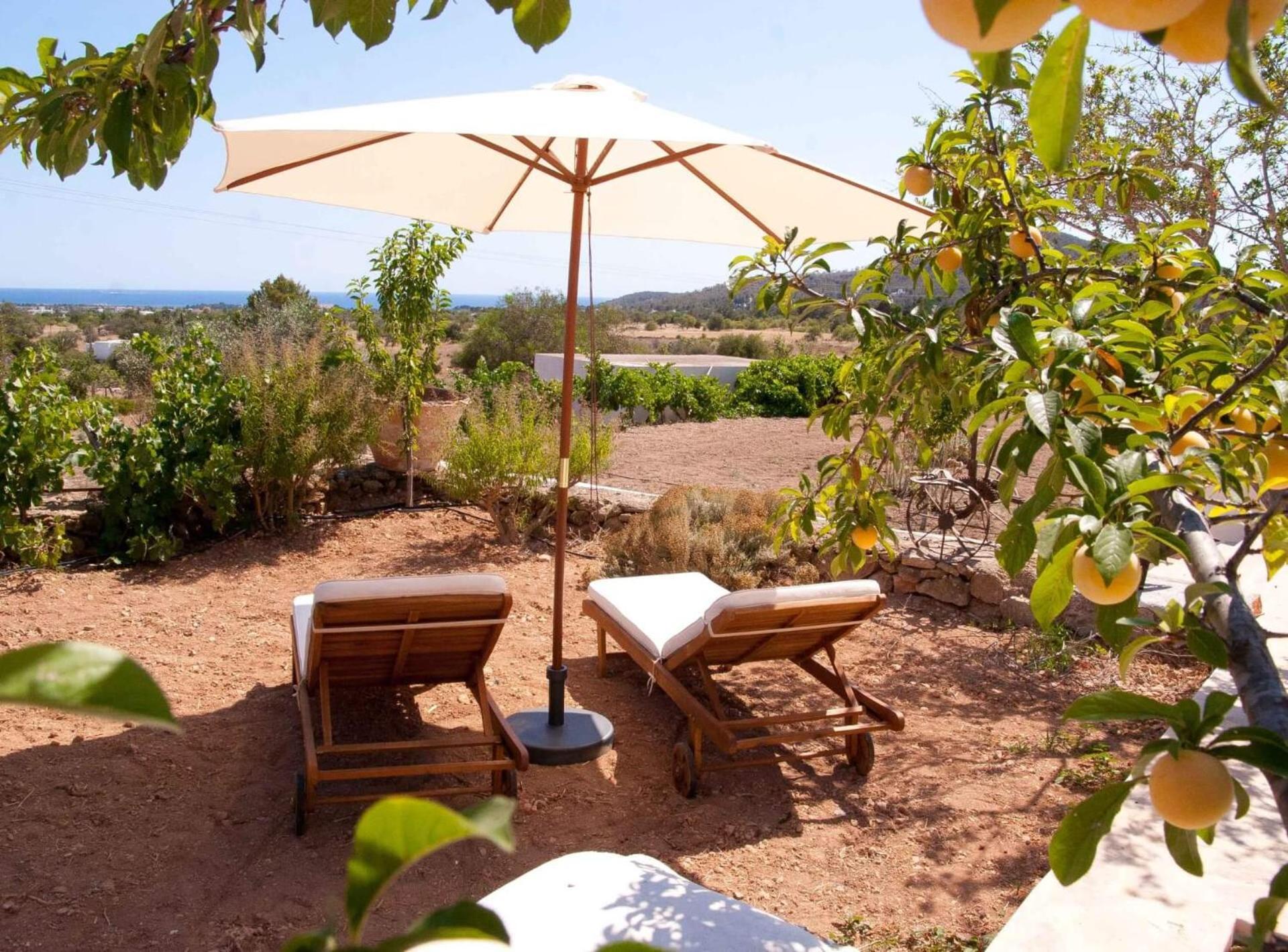 Sunyer.ibiza. *