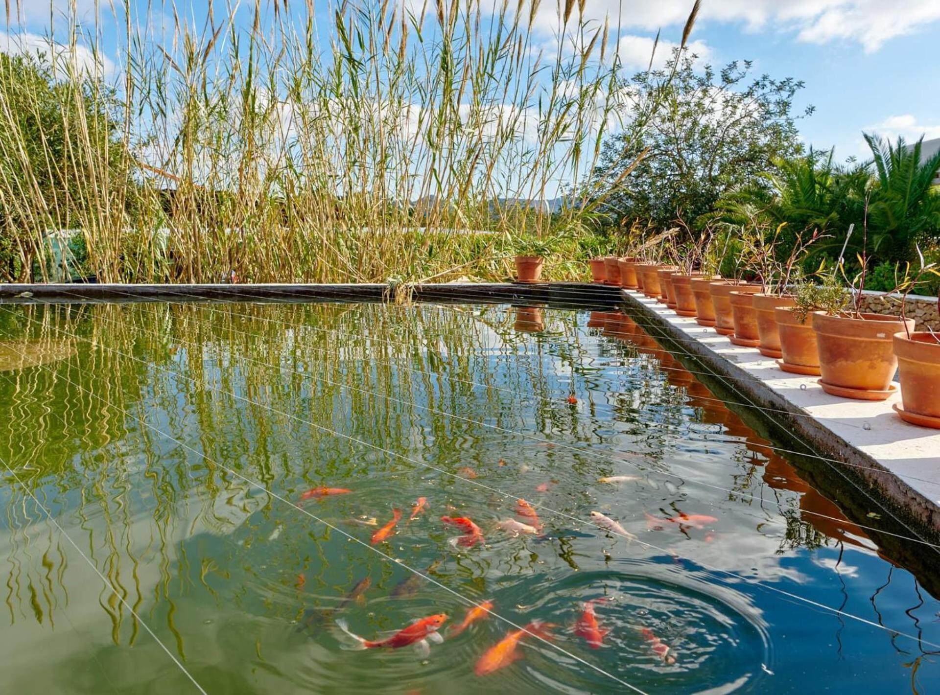 Munt Blanc Ibiza Villa