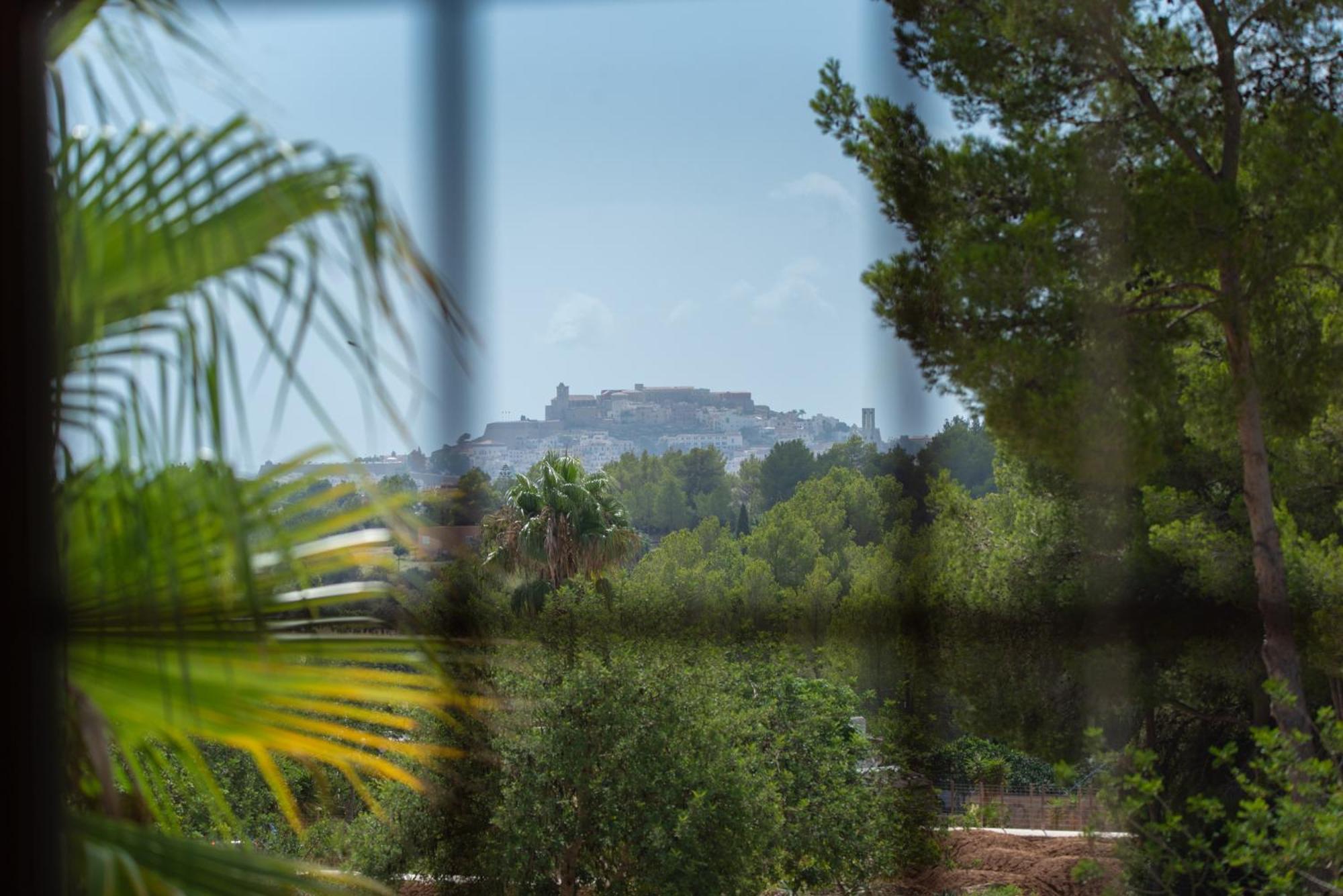 Munt Blanc Ibiza Puig D'en Valls