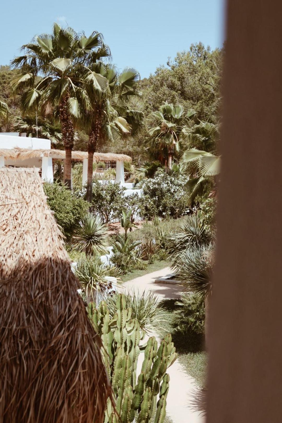 Pure House Ibiza