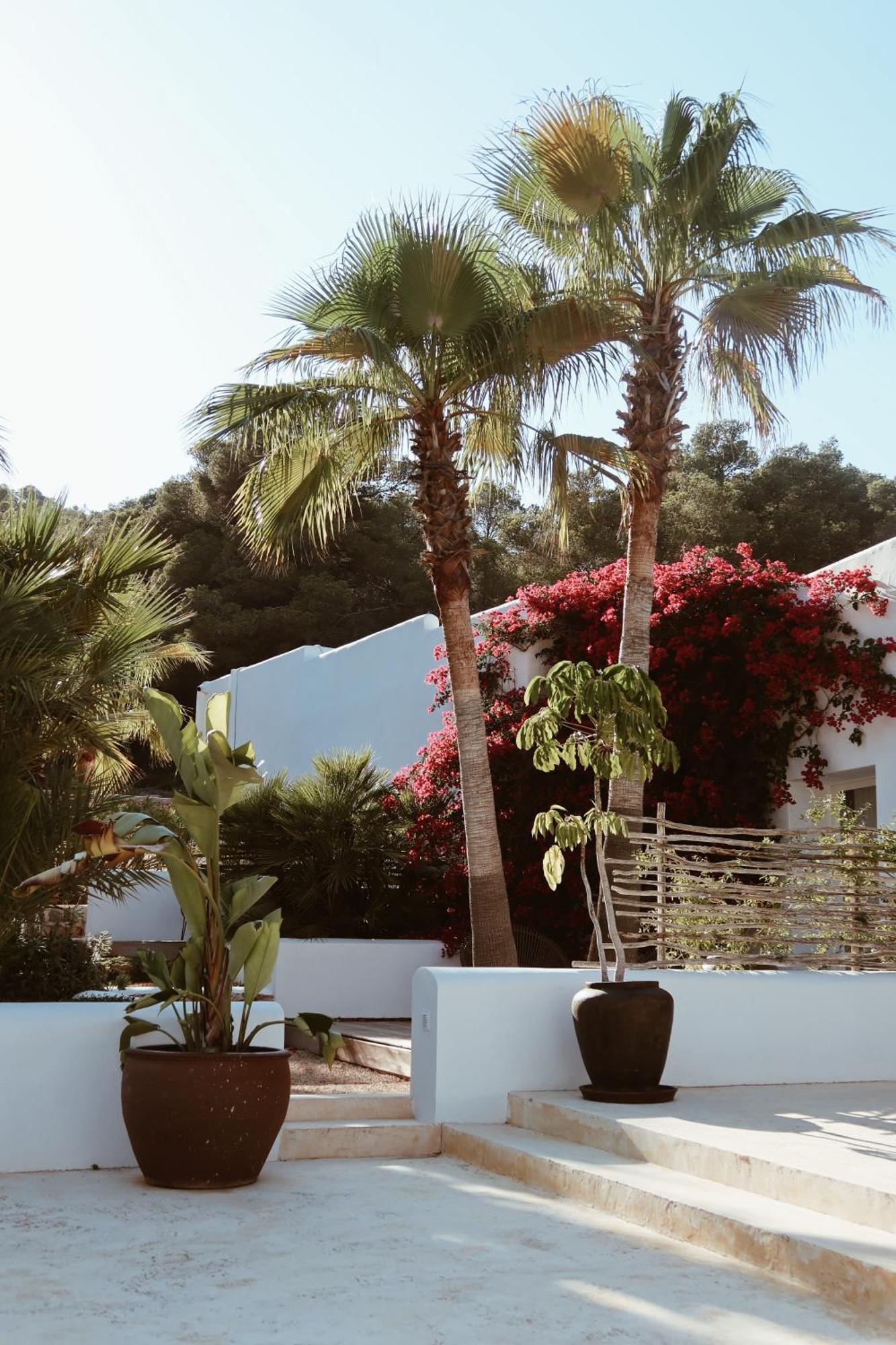 Pure House Ibiza Hotel