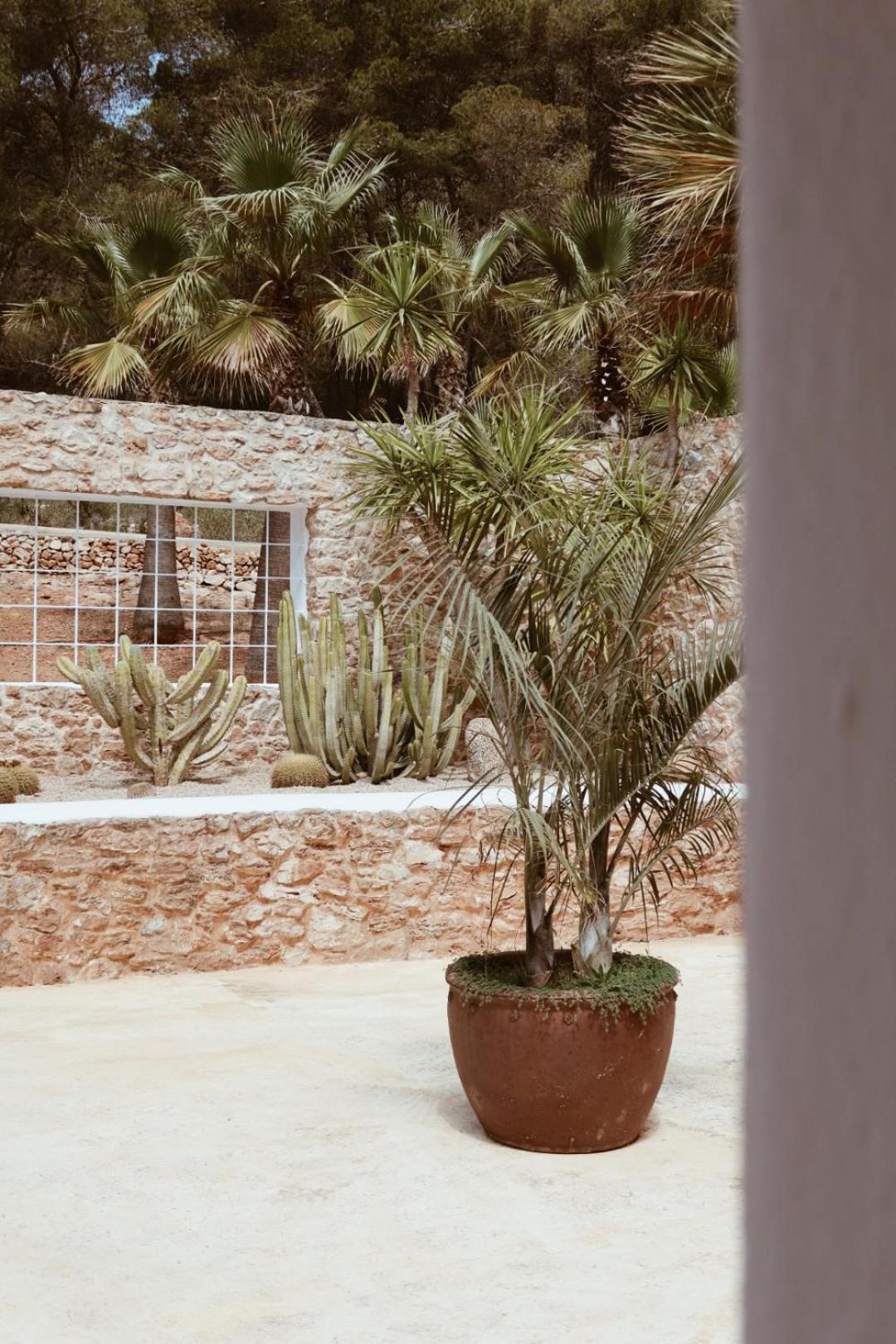 Hotel Pure House Ibiza *