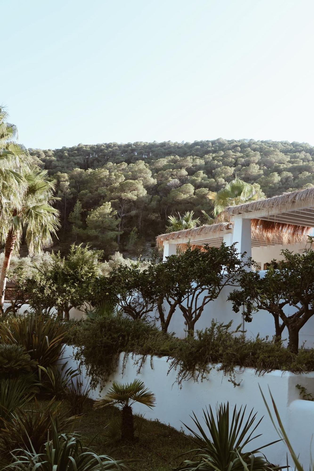 Pure House Ibiza *
