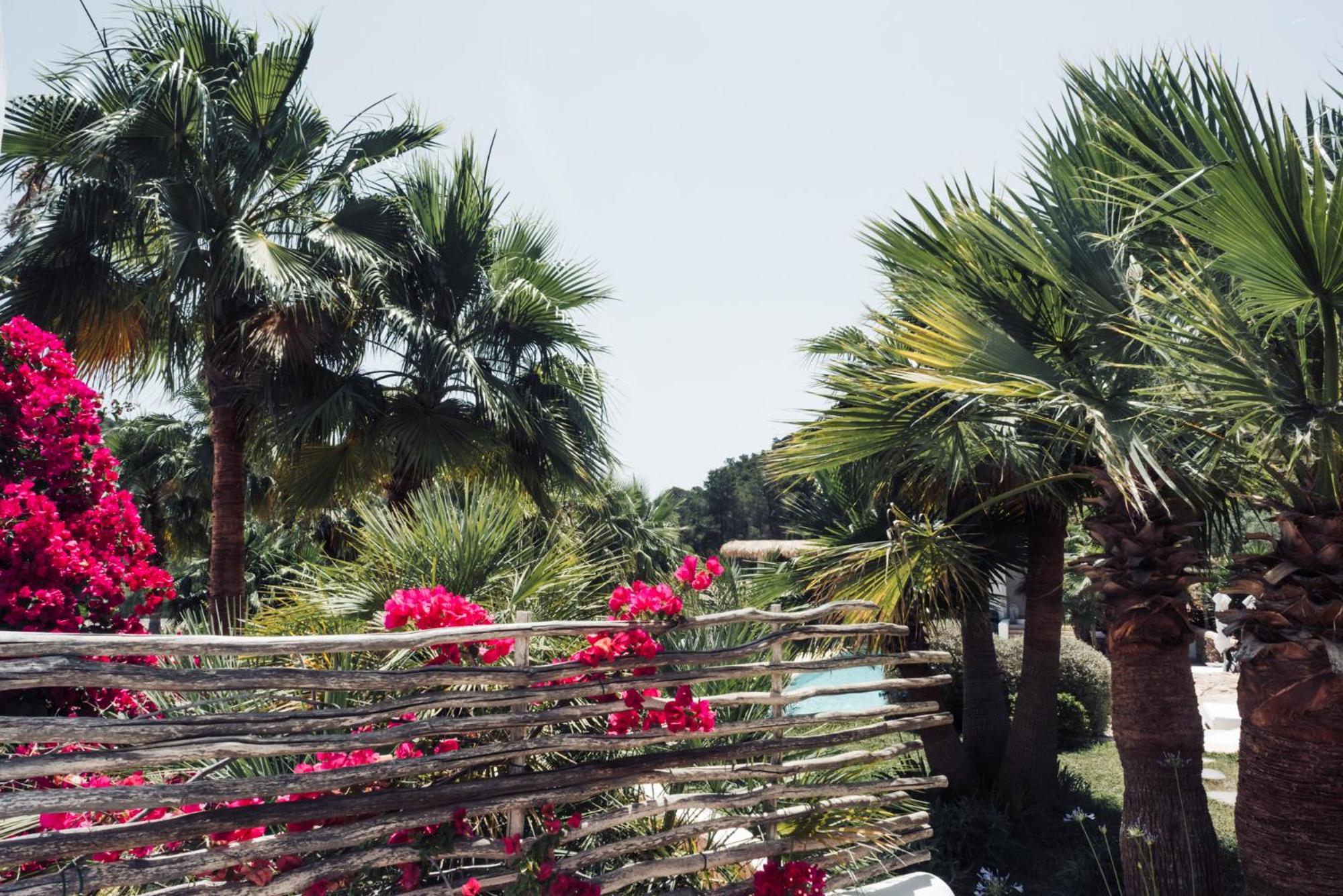 Pure House Ibiza * Sant Jordi de ses Salines