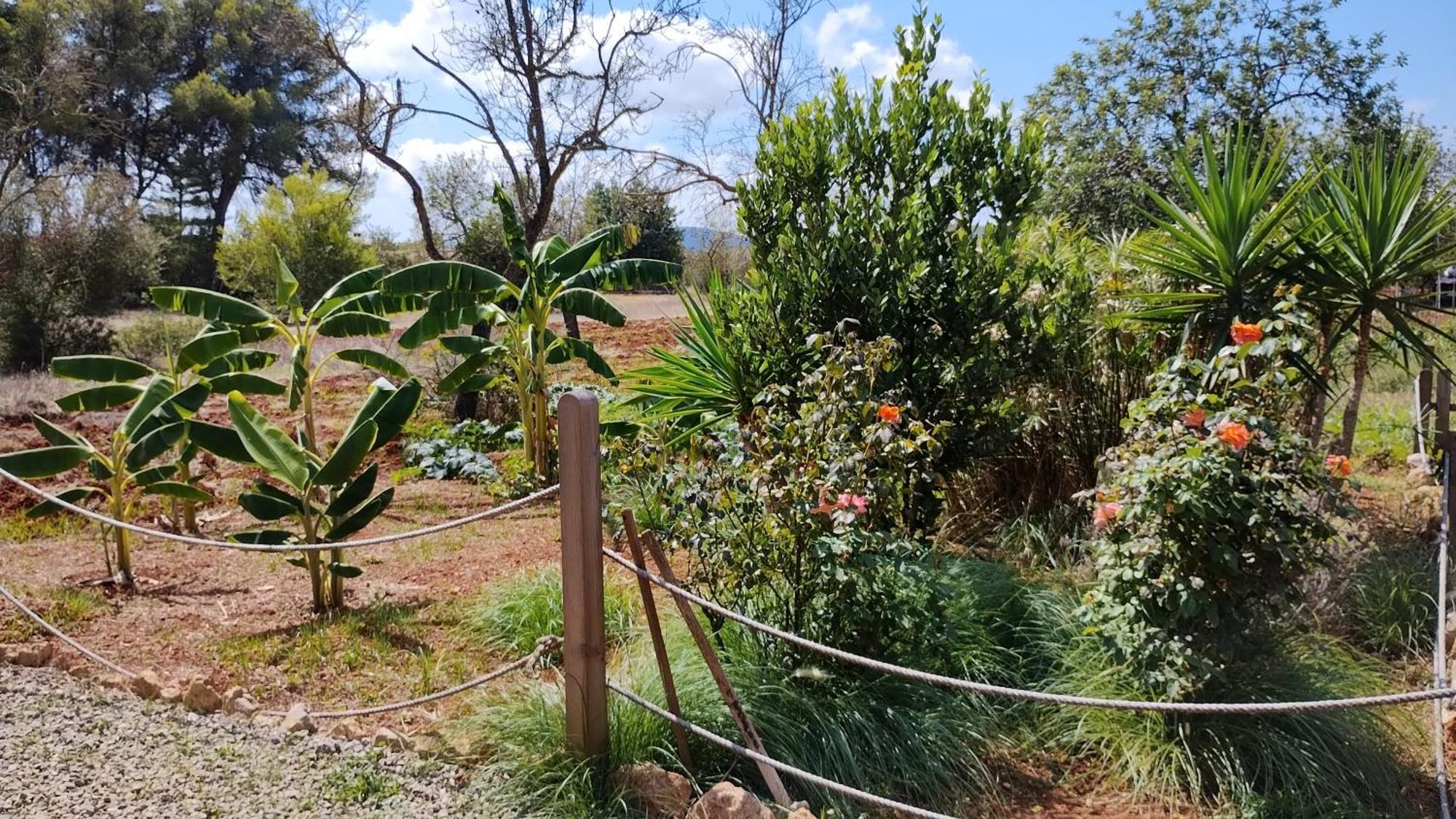 Casa Morna Ibiza Agroturismo Sant Carles de Peralta