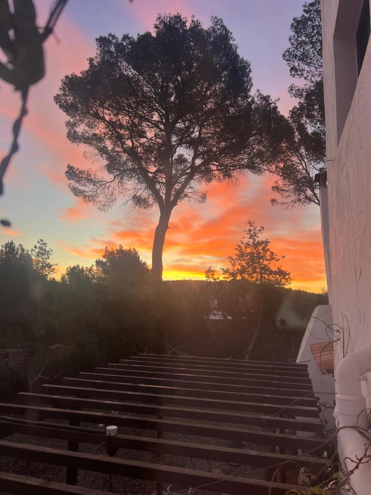 Pousada Spacious & Luxury In Ibiza - Santa Gertrudis - Chiquita *