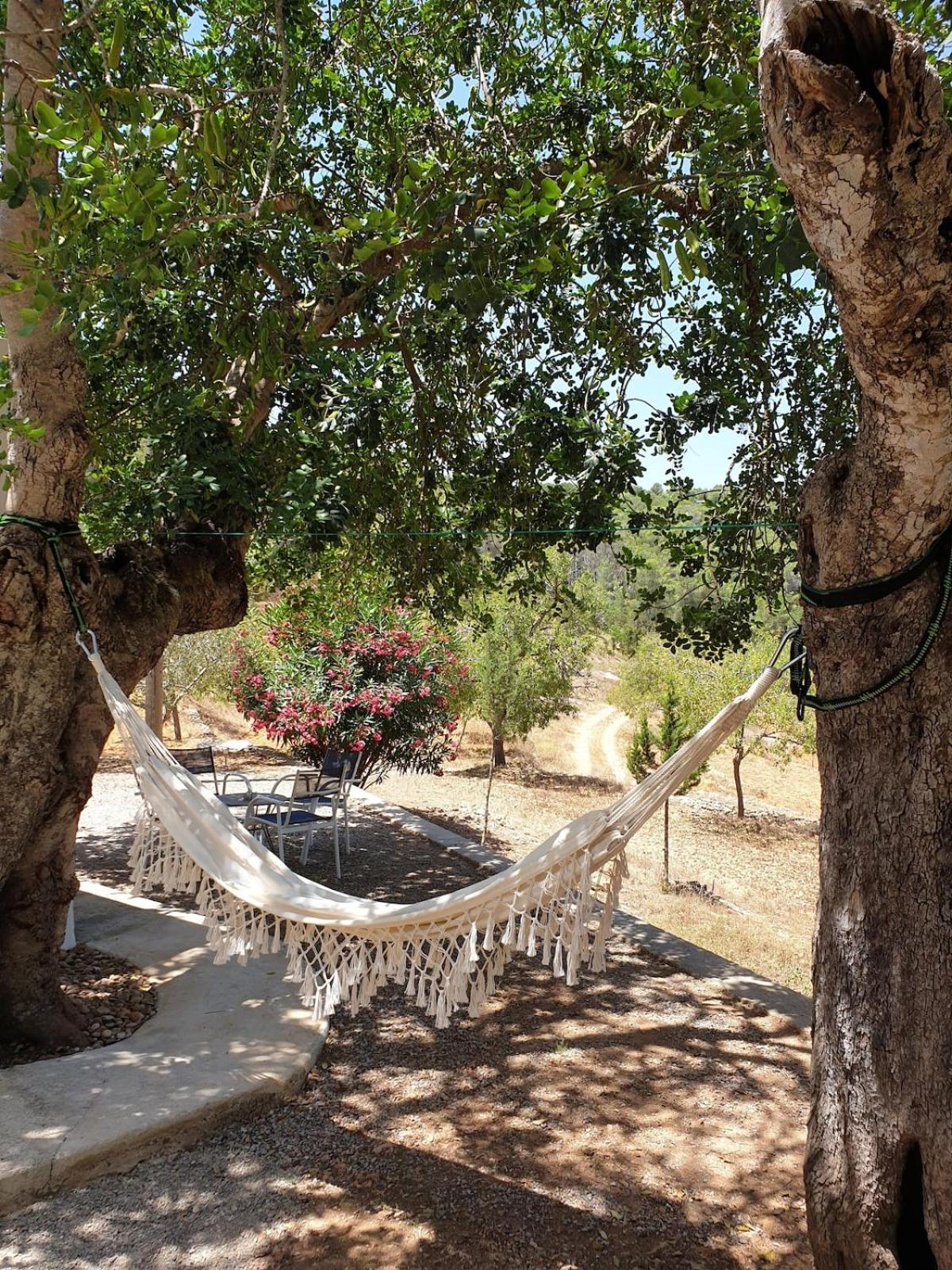 Holiday home Sa Tanca Den Marines Etv 1272 E Sant Carles de Peralta