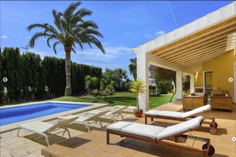 Aloe Ibiza *