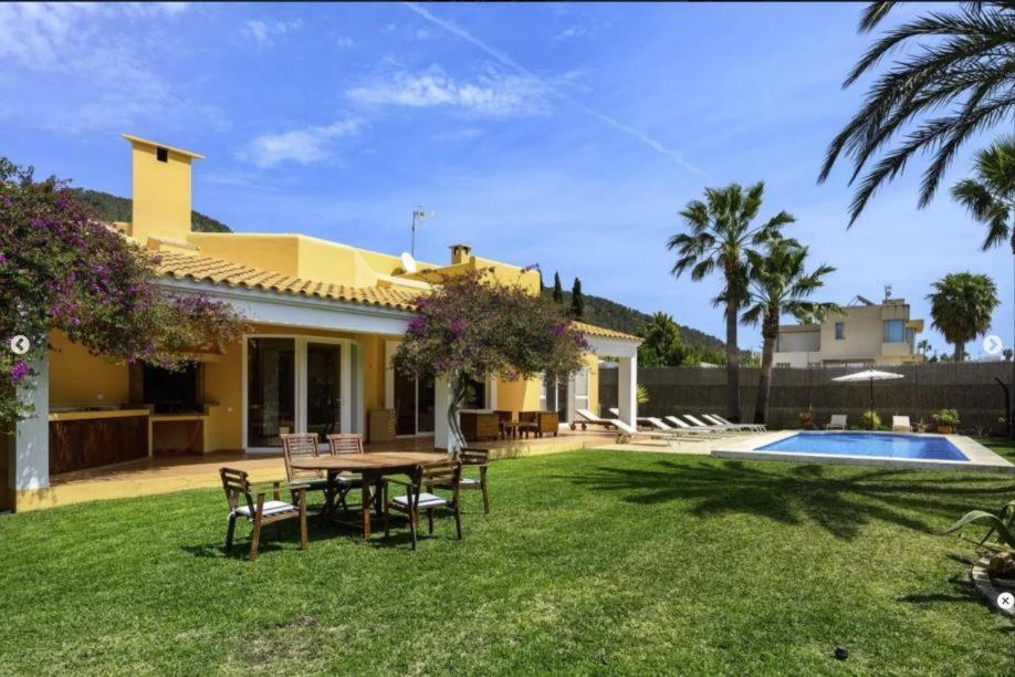 Aloe Ibiza