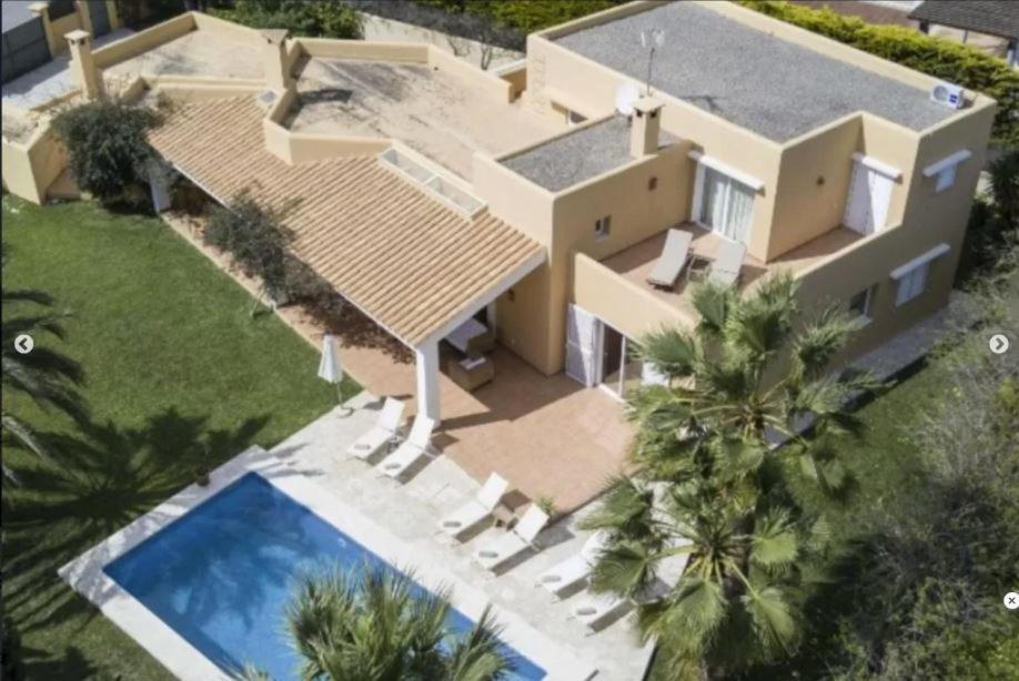 Aloe Ibiza *