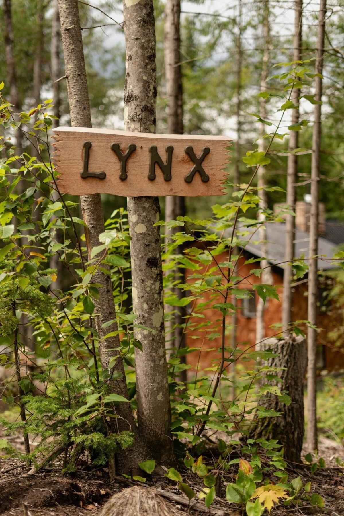 Le Lynx *