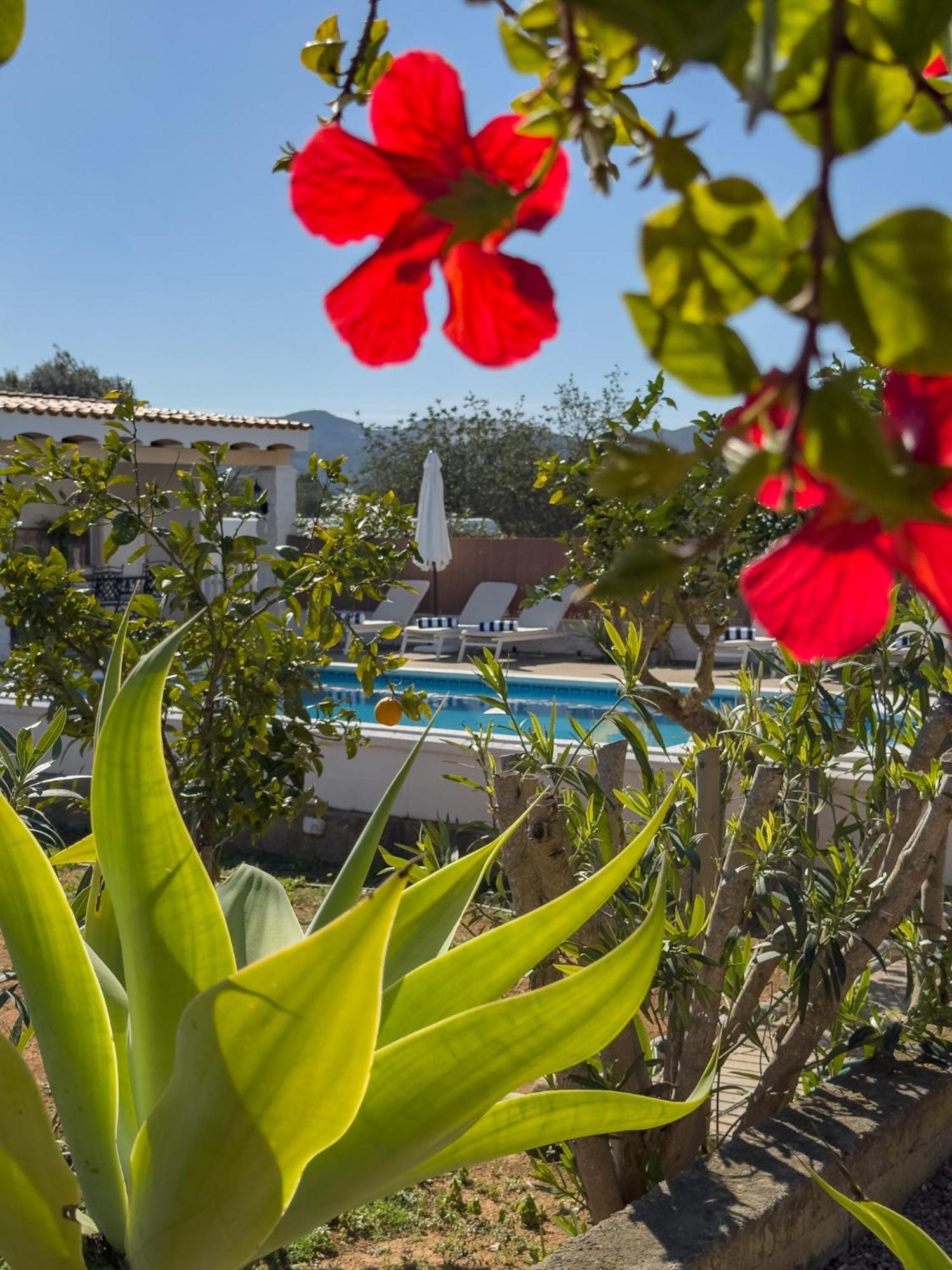 Americano, Your Oasis Of Peace Villa